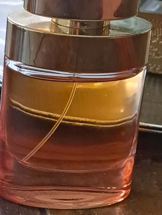 Michael Kors Wonderlust Perfume Bottle in Gold and Amber 3.4fl - Picture 3 of 5